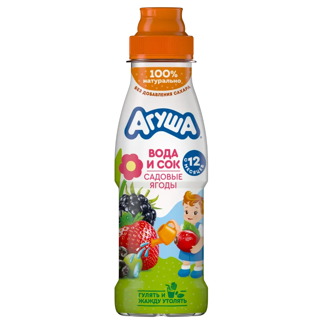 Su və Bağ giləmeyvələri şirəsi içkisi